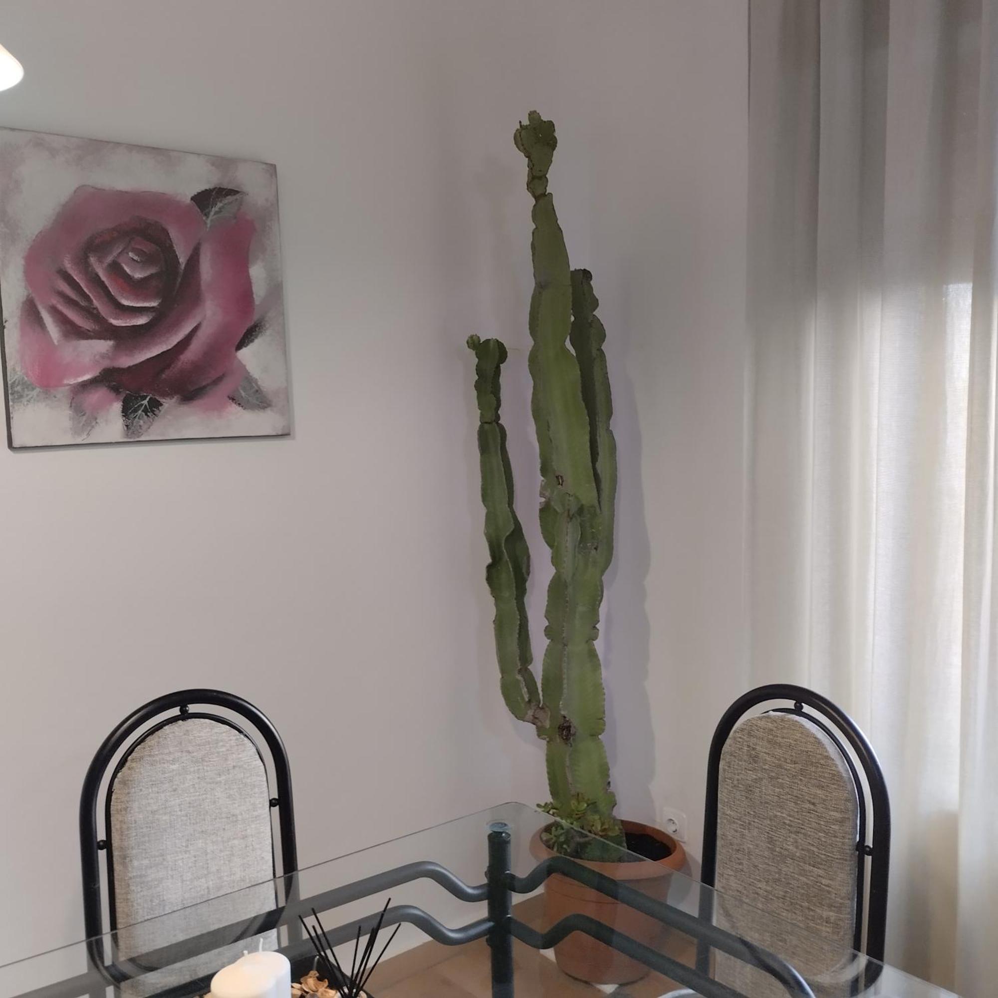 Apartamento Esperanza De La Yedra Jerez de la Frontera Esterno foto